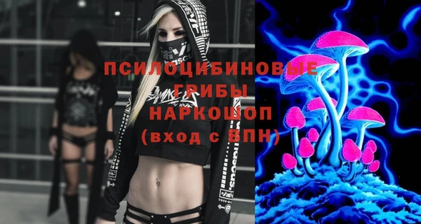 дживик Белоозёрский