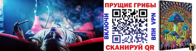 закладки  Дубна  Галлюциногенные грибы прущие грибы 